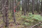 Resource #202517865: image #4