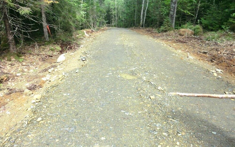 View of street with a view of trees