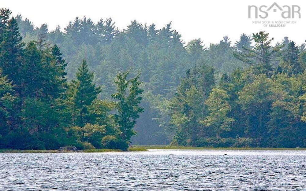 Water view featuring a heavily wooded area