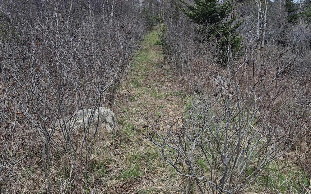 View of undeveloped land