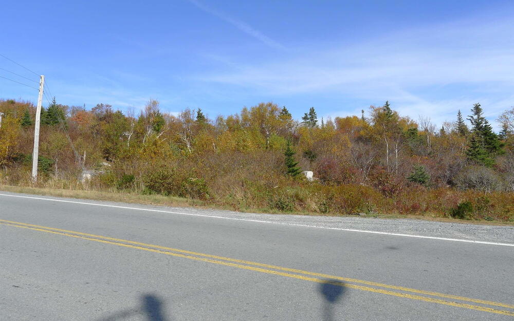 View of asphalt road