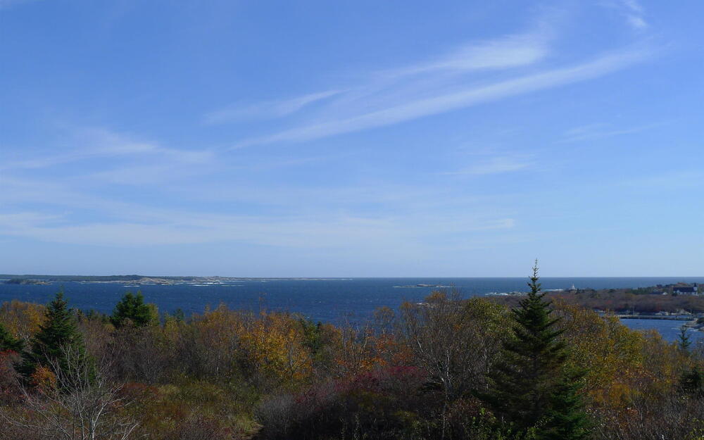 Water view